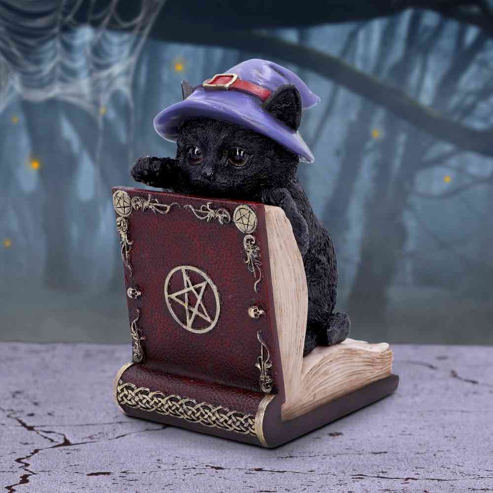 Nemesis Now - Peek-a-boo 20cm Serre-livres - Multicolore